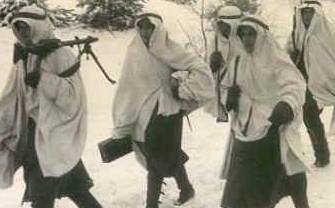 德国装甲掷弹兵师历史图片