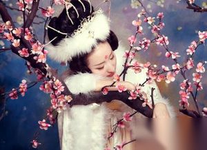 揭秘：梅妃惊鸿舞惊艳到了玄宗为何又失宠?