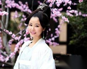 梅妃是杨贵妃最大的情敌却被人遗忘在历史里