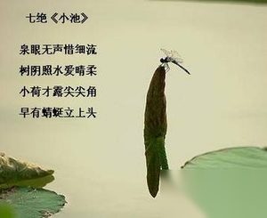 杨万里是哪里人?杨万里最著名的诗作有哪些