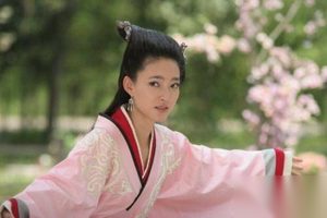 二手女人王娡是如何爬上的皇后之位的？
