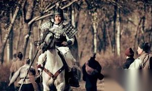三国最后一位战神 46岁破司马炎百万大军48岁陨落