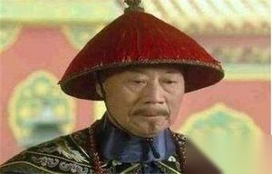后人对清朝大臣张廷玉的历史评价是怎么样的