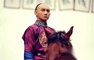 九龙夺嫡中康熙皇帝为何传位于四阿哥胤禛?