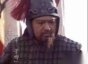 《三国演义》中姜维是被高估了武力还是