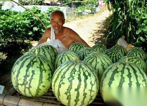 乾隆微服私访买西瓜，为什么吃完之后突然恍然大悟？