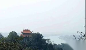倘若司马氏没有取代曹魏，那么中国还会出现“五胡乱华”吗