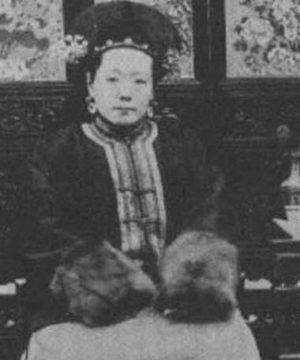 光绪帝生母叶赫那拉·婉贞为何对亲姐姐慈禧恨之入骨？原因是