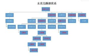 金世宗为何登基后不立皇后，是因为乌林答氏吗？