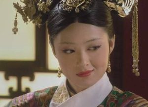 年希尧年妃的哥哥，他是什么样的人？