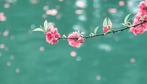 赏析曹操有名的三首诗歌！学习曹操的为人处世之道！