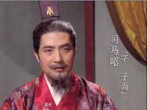 三国里的成功人士之一，司马昭有哪些成就？