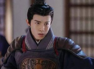 嬴政在攻打楚国的时候 嬴政为什么先派李信再派王翦