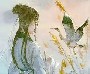 明悼毛皇后的出身是怎样的？她为什么会被曹叡赐死？