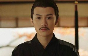 历经“八王之乱”的司马衷，在位期间有何成就吗？