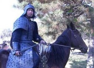 曹魏守卫北部边境的将军，其中谁的功劳最大？