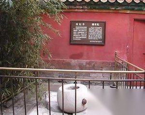 揭秘光绪爱妃珍妃坠井之谜！是慈禧的杰作？