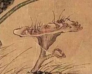 历史上马湘兰有何才能？她都经历了哪些事情？