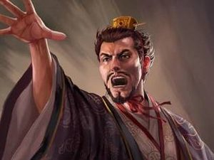 有哪些与桓阶相关的轶事典故？后世对他的评价如何？