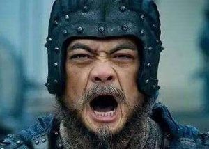 魏延作为蜀汉晚期的少数大将 魏延最后为何会被杀