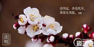 清明里的宋词浅吟低唱 词句美得让人心神荡漾