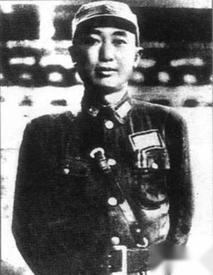 赞美抗日英雄的诗句：海鸥将军千古