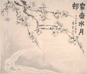 什么让金农笔下的梅花不再寒冷？梅花心事几人知？