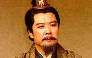 《司马芝传》原文及翻译，司马芝字子华，河内温人也