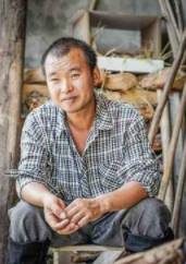 模仿“咏鹅”写下“咏鸡”，虽是模仿却不逊色！