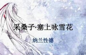 清朝初年词人纳兰性德：《采桑子·塞上咏雪花》翻译与赏析