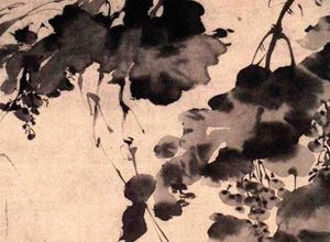 明代画家徐渭纸本水墨画《墨葡萄图》简介 现藏于北京故宫博物院
