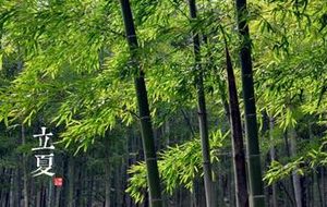 二十四节气中的“立夏”的由来是什么？又会有哪些气候变化呢？