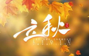 与二十四节气立有关的谚语有哪些呢？