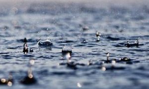 “落雨收柴草”语底是什么？关于雨的歇后语介绍