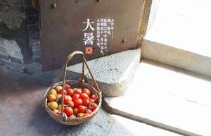 历史上有哪些关于大暑的诗词？这些诗的作者分别是谁？
