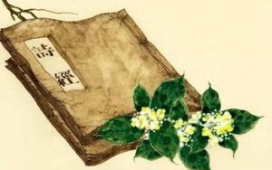 殷其雷描写的内容是什么？怎么鉴赏诗经中的殷其雷？
