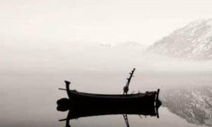 柏舟描写的内容是什么？怎么鉴赏诗经中的柏舟？