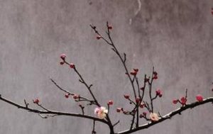 宋代吴文英诗词之一，解语花·梅花这首词该怎么鉴赏？