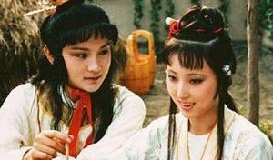 红楼梦第五十八回讲了什么事？这回该怎样赏析呢？
