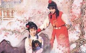 红楼梦中贾母为何如此宠爱贾宝玉呢？