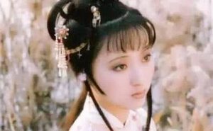 红楼梦中最受贾母宠爱的人是谁？为何没露过面？