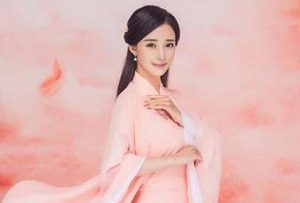 聊斋志异-董公子篇原文有哪些情节？该如何翻译呢？