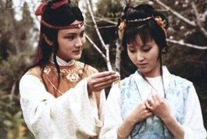 《红楼梦》第六十三回 寿怡红群芳开夜宴 死金丹独艳理亲丧