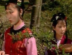 红楼梦里最有心机的人是谁？是袭人吗？