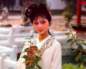 红楼梦中宝钗这般的完美女子为何会比不过林黛玉？