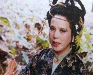 红楼梦中的抄检大观园到底寓意着什么样的权力关系?