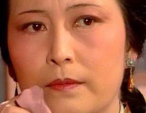 贾宝玉被贾政毒打后，王夫人做了什么事情？