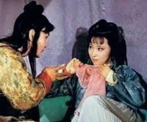 红楼梦中有哪些比较值得回味的笑话？又是谁说的？