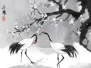 明代黄佐所作的《小寒节有感》，写出作者对人生的感叹
