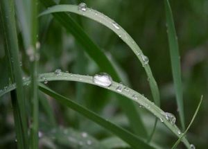 盘点五首关于惊蛰节气的诗作，诗人描绘了怎样的景象？